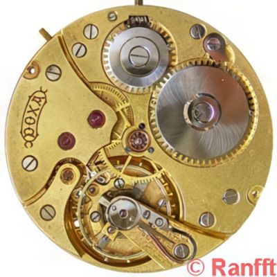 Doxa 1, 19" hunter