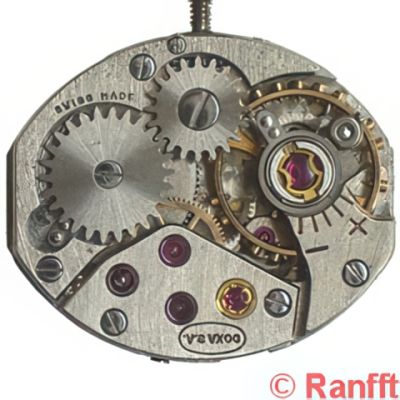 Doxa 41